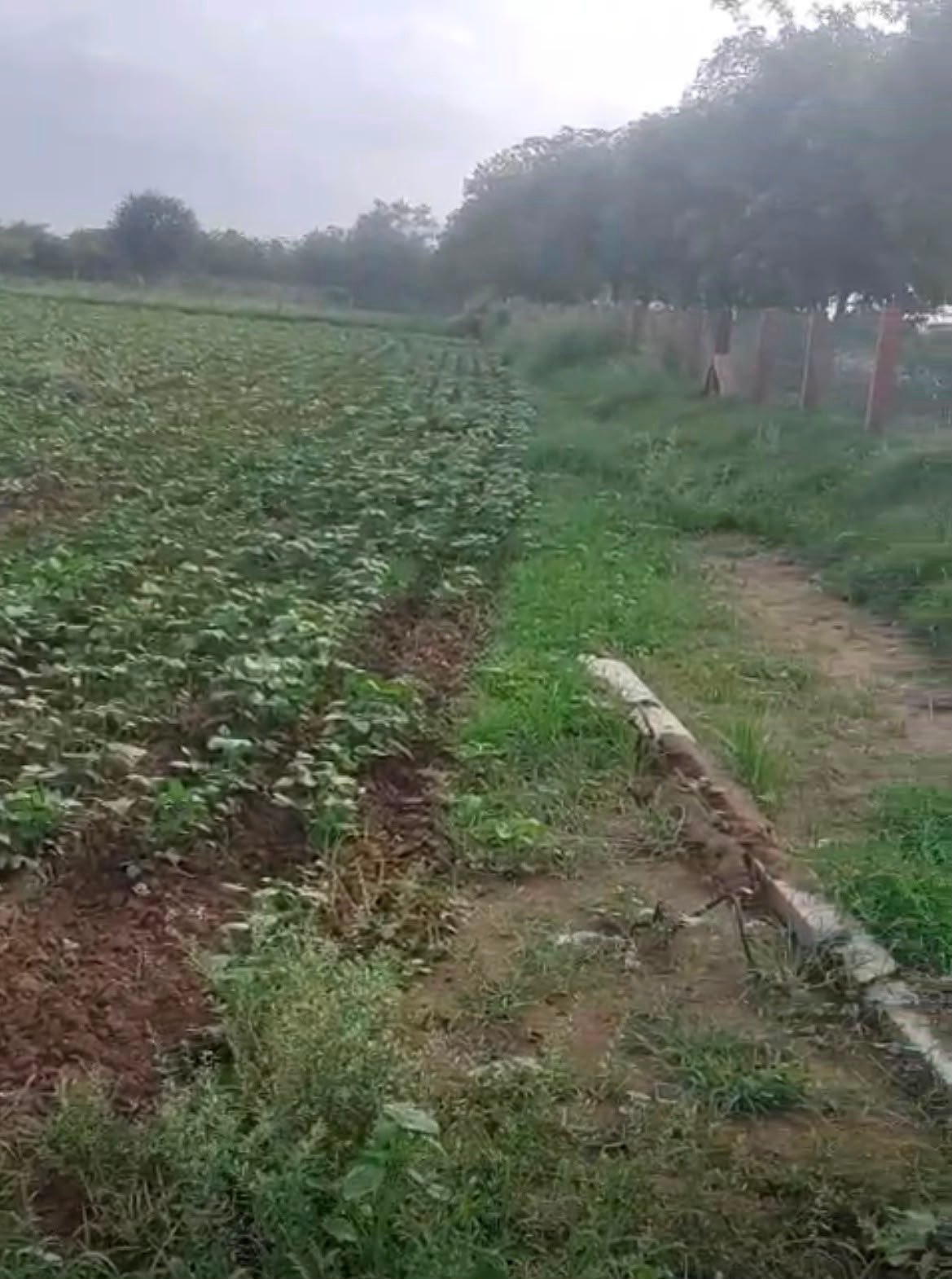 Agricultural land for Sale, Varkana Nadol Road, Near Varkan RIICO Barkana — photo 5