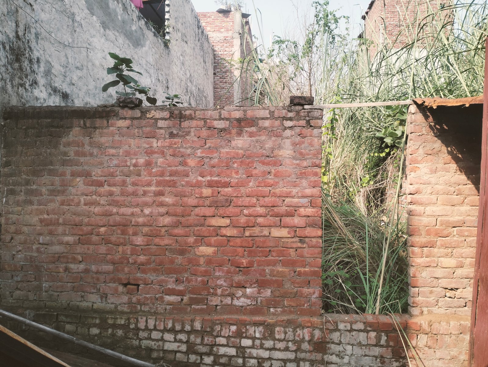 Plot for Sale, Burari, New Delhi — photo 5