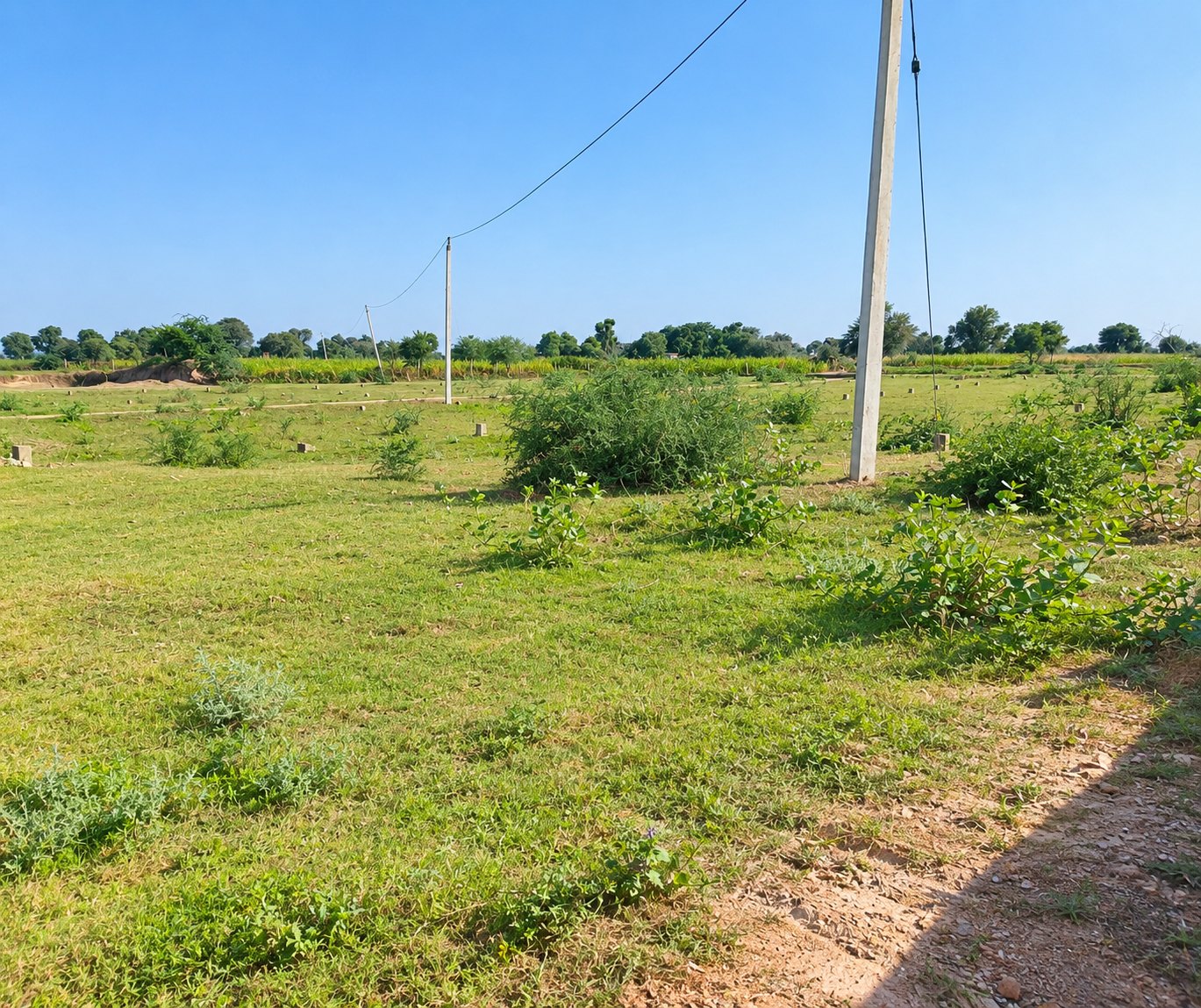 Plot for Sale, Railway Station, chaksu — photo 2