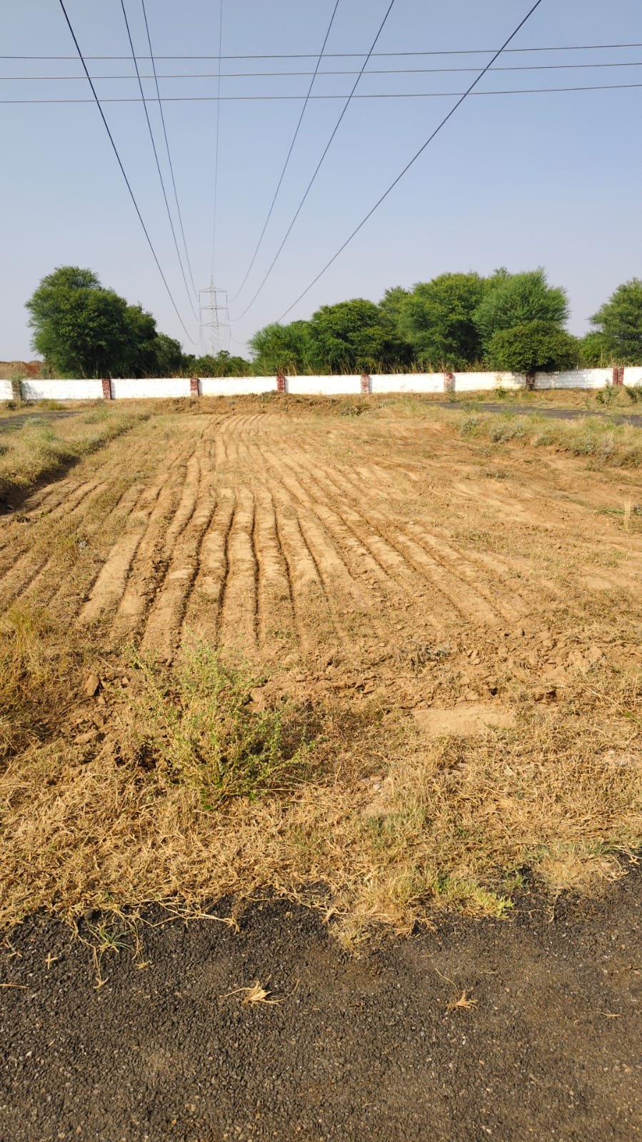 Plot for Sale, Railway Station, chaksu — photo 11