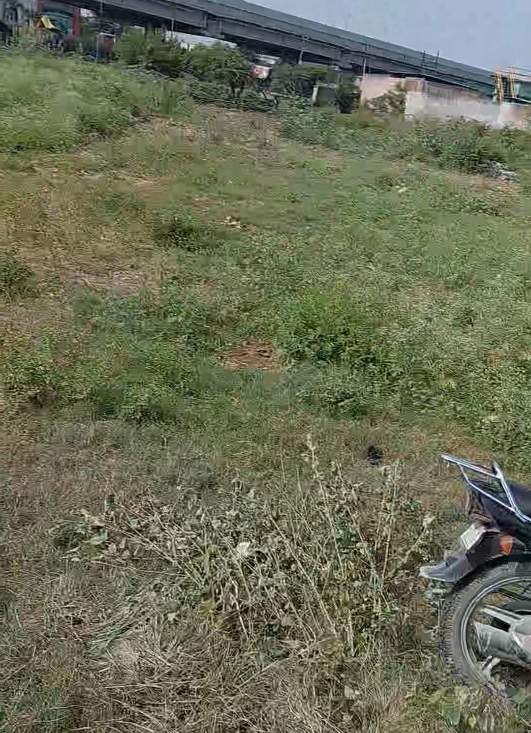 Hasanpur Masoori — photo 2